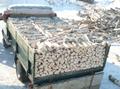 Дрова березовые с доставкой в Виллози