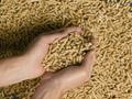 Продам пеллеты в Озерах