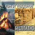 Дрова бесплатно самовывоз - отдам бесплатно